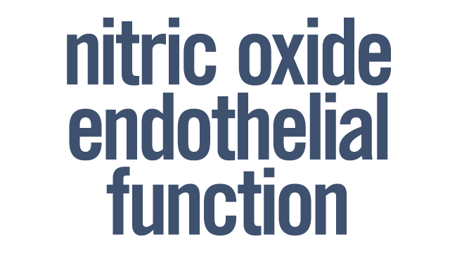 Nitric Oxide Endothelial Function