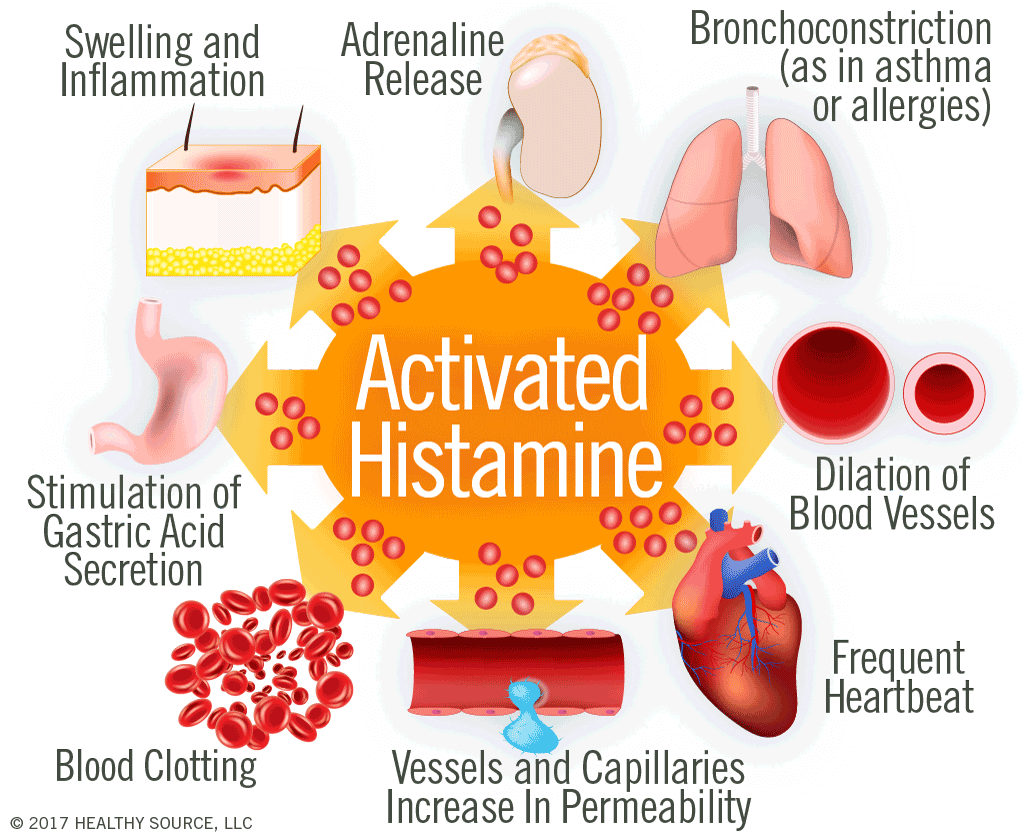 Activated histamine causes swelling and inflammation; adrenaline release, vessels and capillaries increase in permeability; dilation of blood vessels; stimulation of gastric acid secretion; broncho-constriction; blood clotting.