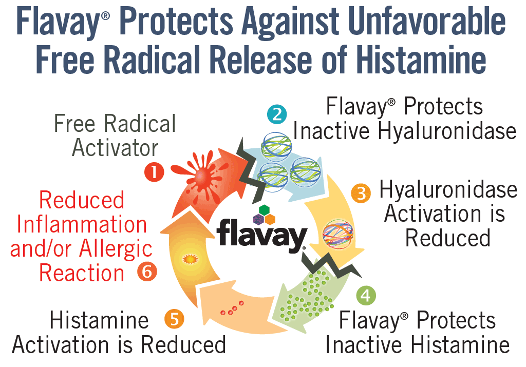 Anti-inflammatory activity of Flavay: Flavay protects against unfavorable free-radical release of histamine. Cycle shows: 1 Free radical activator. 2 Flavay protects inactive hyaluronidase. 3 results in reduction of hyaluronidase activation. 4 which protects inactive histamine. 5 which reduces histamine activation. 6. which reduces inflammation and allergic response.