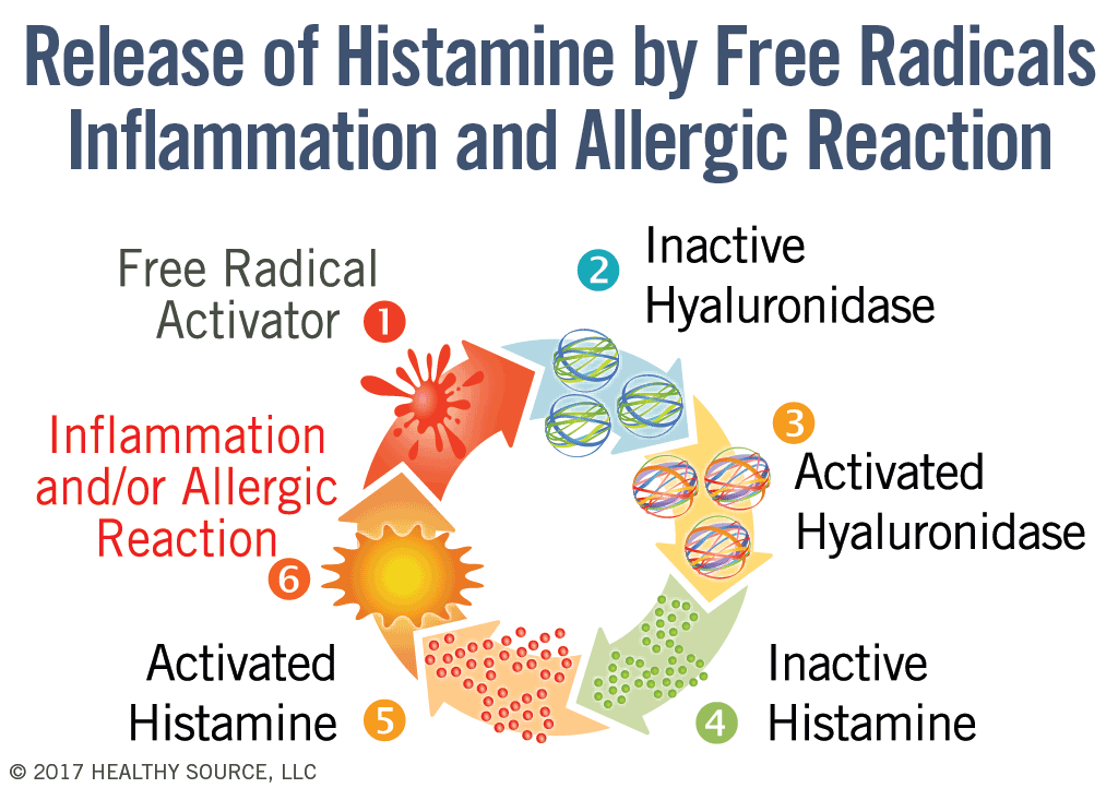 Cycle of histamine activation pathway. Cycle shows: 1 Free radical activator. 2 inactive hyaluronidase, 3 activated hyaluronidase, 4 inactive histamine, 5 activated histamine 6 which results in inflammation and or allergic reaction.