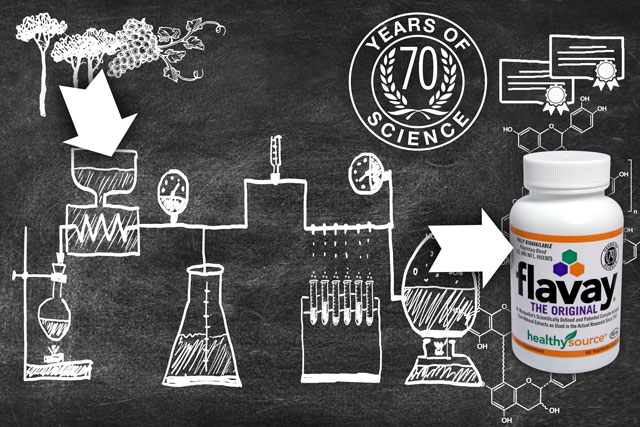 diagram illustrating the complex and scientific manufacturing of Flavay, includes patents and molecular diagram. 70 years of science.