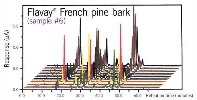 Flavay French pine bark, sample #6