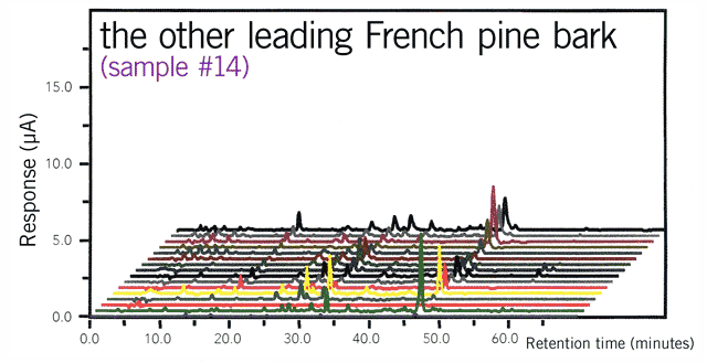 the other leading French pine bark, sample #14