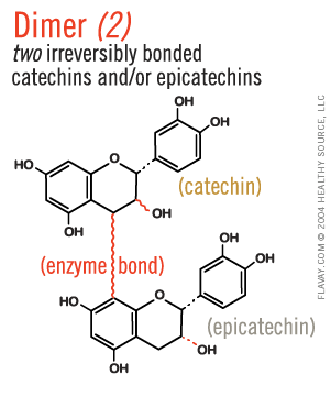 Dimer: two irreversibly bonded catechins and/or epicatechins