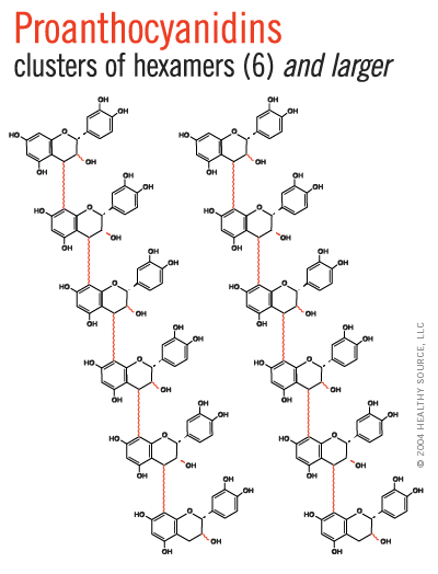 Large proanthocyanidins are clusters of hexamers, 6, or larger.