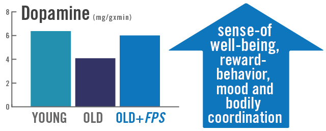 Chart of young versus old shows supplementation with Flavay Plus restores healthy youthful levels of dopamine. Dopamine is a brain transmitter which regulates the sense of well-being, reward-behavior, mood and bodily coordination.