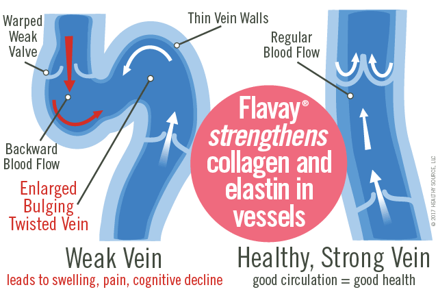 Weak veins are enlarged, bulging and twisted with warped weak valves, thin vein walls, irregular blood flow, and result in edema, swollen legs, ankles and feet. Healthy veins provide good circulation to heart, regular blood flow with normal vein walls and valves.