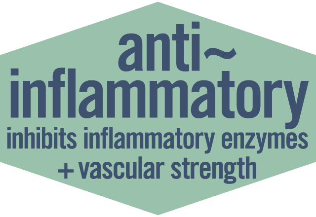 #2 Anti-inflammatory: inhibits pro-inflammatory enzymes + improves vascular strength